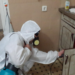 Дезинфекция от муравьев в квартире в Обручевском районе Москвы
