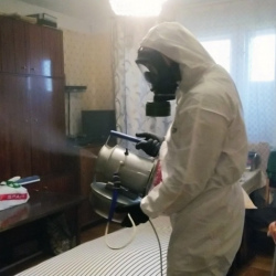 Дезинфекция от клопов в Обручевском районе Москвы