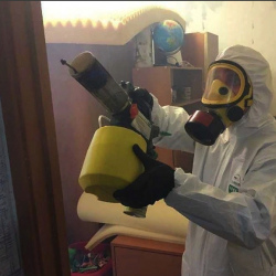 Уничтожение клопов в квартире. Обручевский район