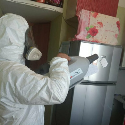 Уничтожение насекомых в квартире. Обручевский район